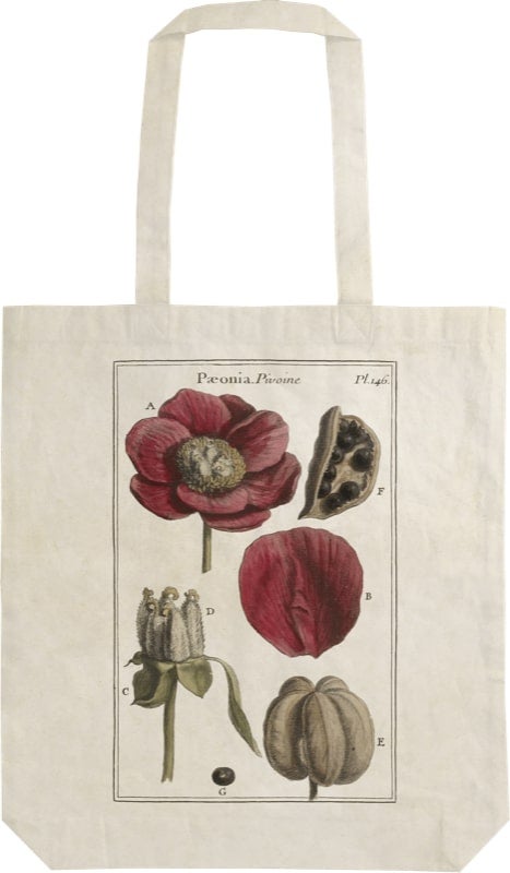 Handlenett Sköna Ting Røde peoner