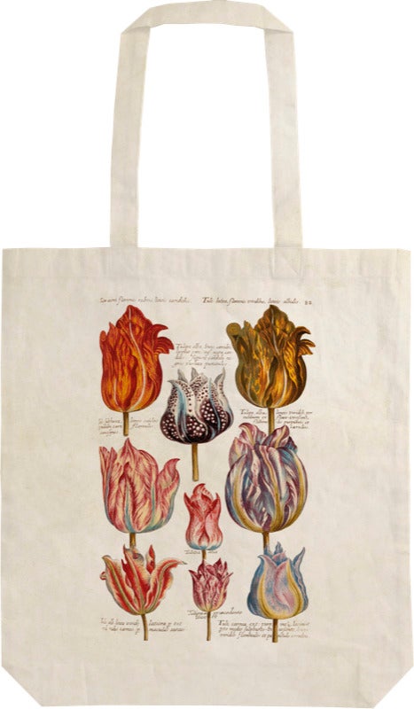 Handlenett Sköna Ting Tulipaner