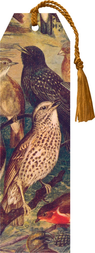 Bokmerke Sköna Ting Fugler