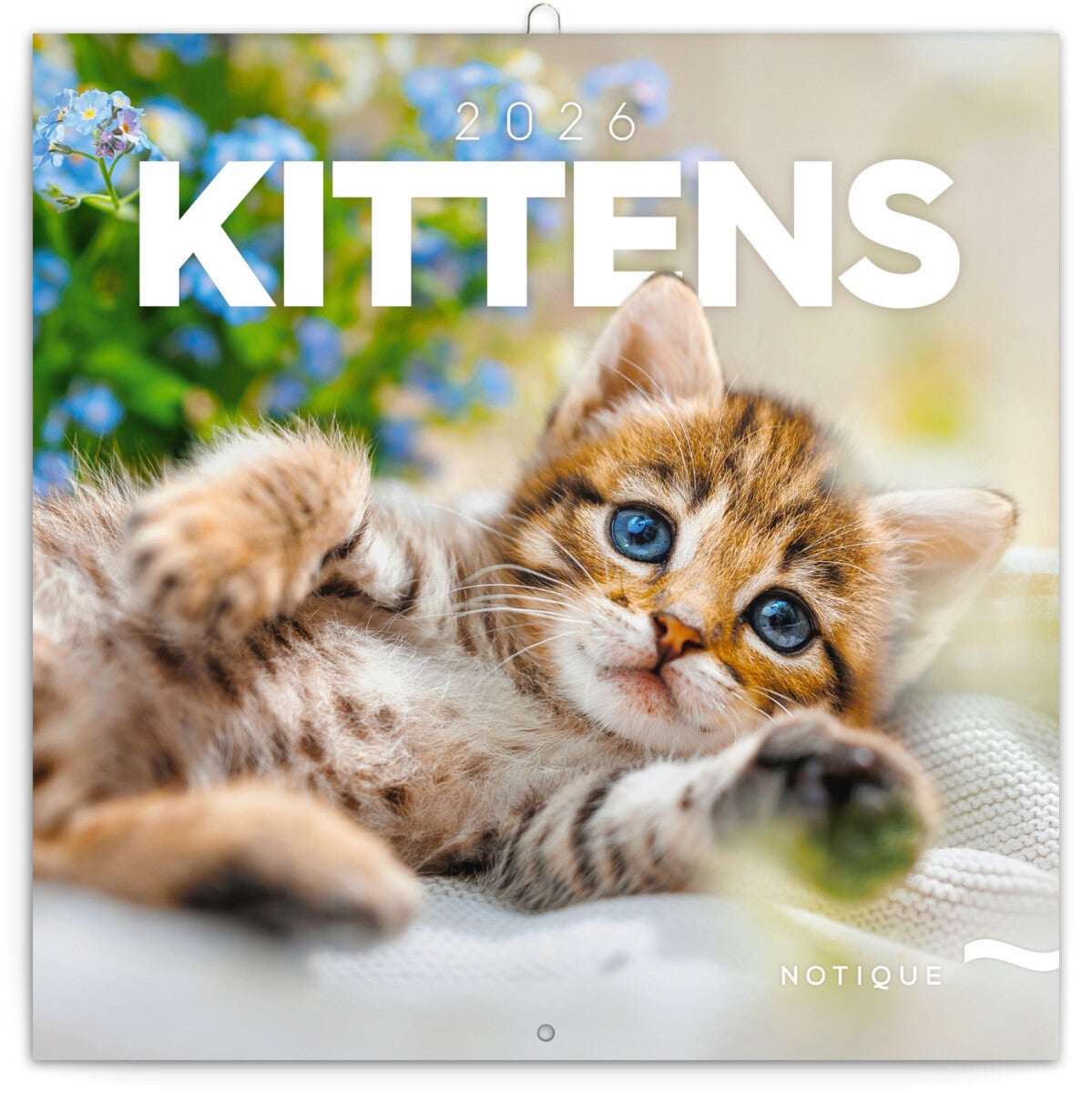 Kalender 2026 30x30 Kittens