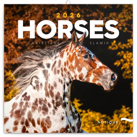 Kalender 2026 30x30 Horses