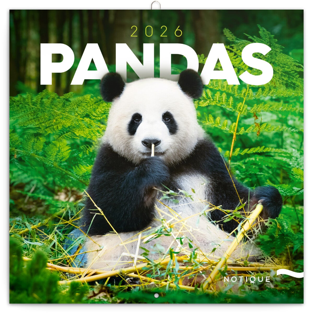 Kalender 2026 30x30 Pandas