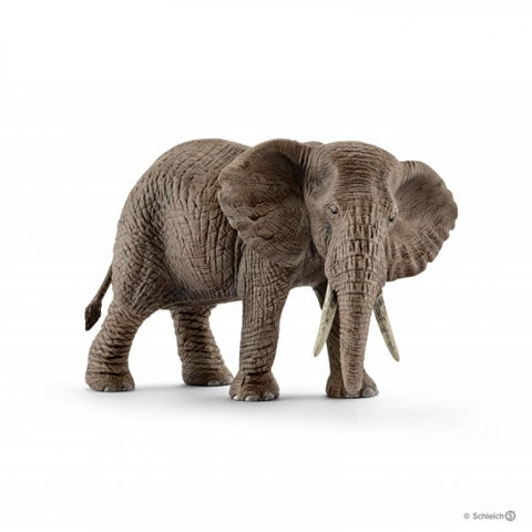 Schleich Afrikansk elefant hunn