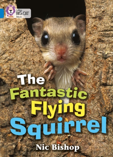 Bilde av The Fantastic Flying Squirrel Av Nic Bishop