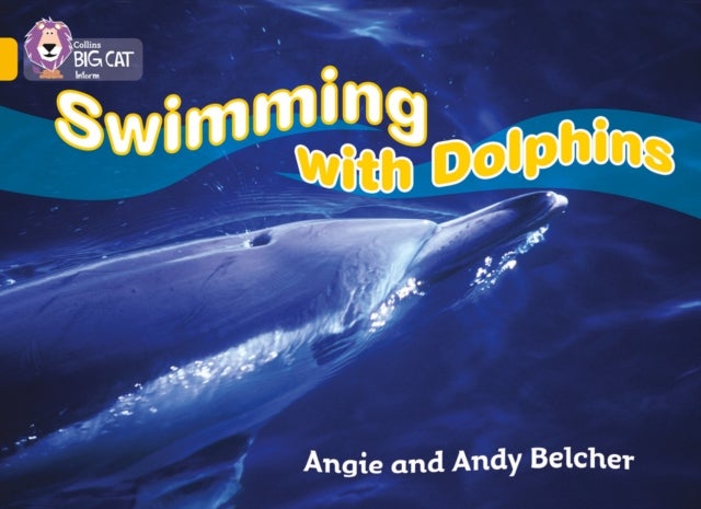Bilde av Swimming With Dolphins Av Angie Belcher, Andy Belcher