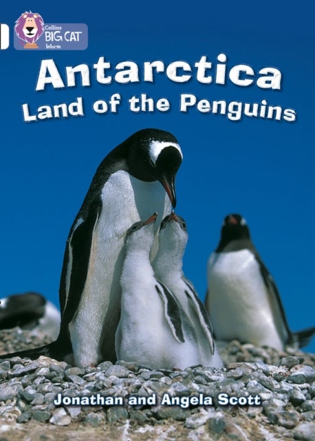 Antarctica: Land of the Penguins - Band 10/White