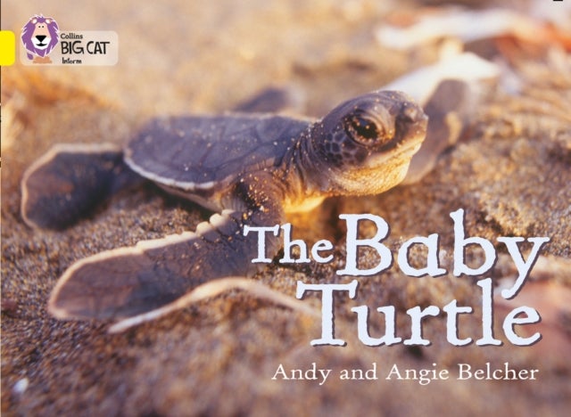 Bilde av The Baby Turtle Av Andy Belcher, Angie Belcher