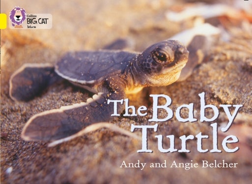 The Baby Turtle - Band 03/Yellow