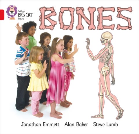 Bones - Band 02b/Red B