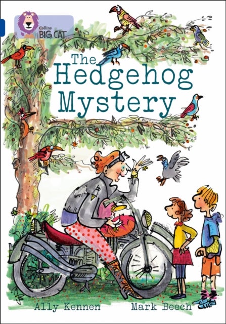 The Hedgehog Mystery - Band 16/Sapphire