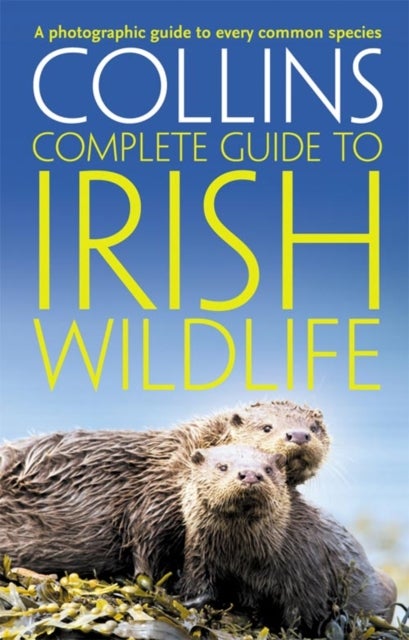 Bilde av Collins Complete Irish Wildlife Av Paul Sterry