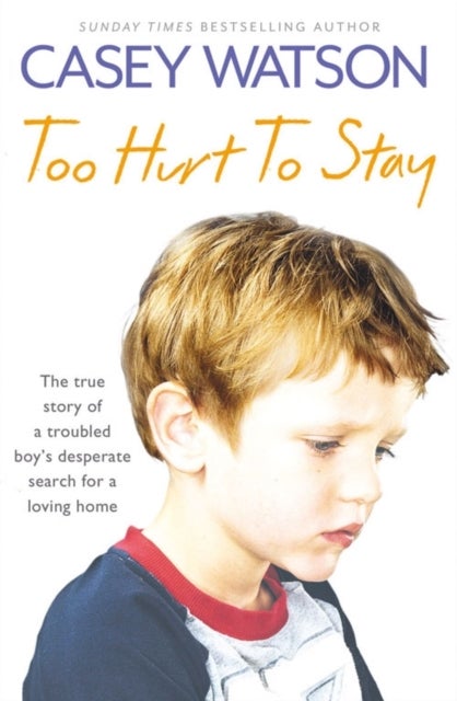 Too Hurt to Stay - The True Story of a Troubled Boy¿s Desperate Search for a Loving Home