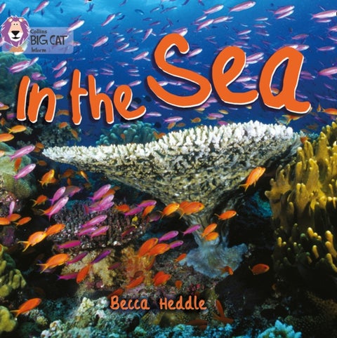 In the Sea - Band 01b/Pink B