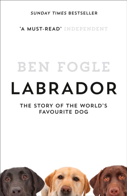 Labrador - The Story of the World's Favourite Dog