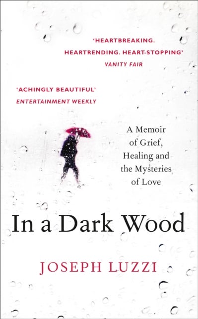 In a Dark Wood - A Memoir of Grief, Healing and the Mysteries of Love