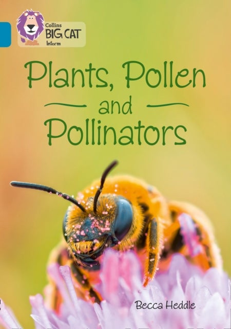 Plants, Pollen and Pollinators - Band 13/Topaz