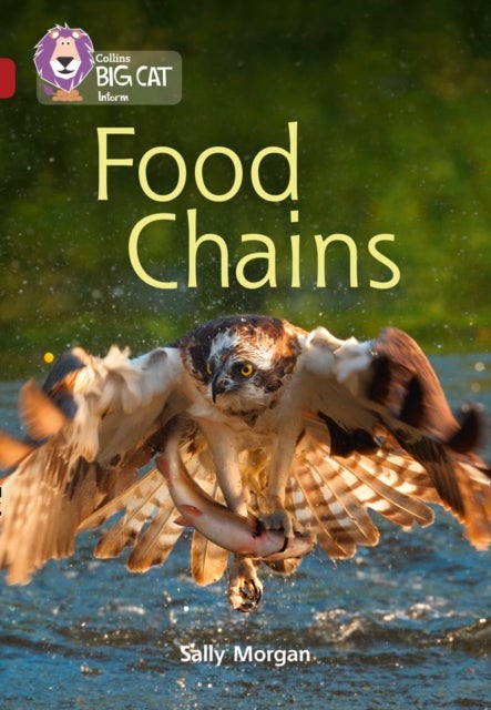 Food Chains - Band 14/Ruby