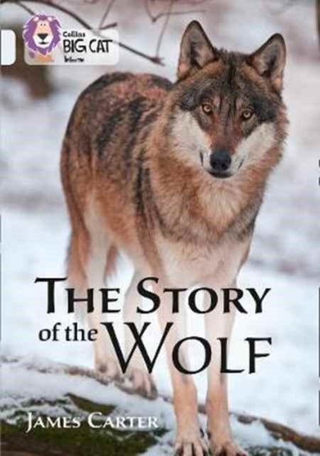 The Story of the Wolf - Band 17/Diamond