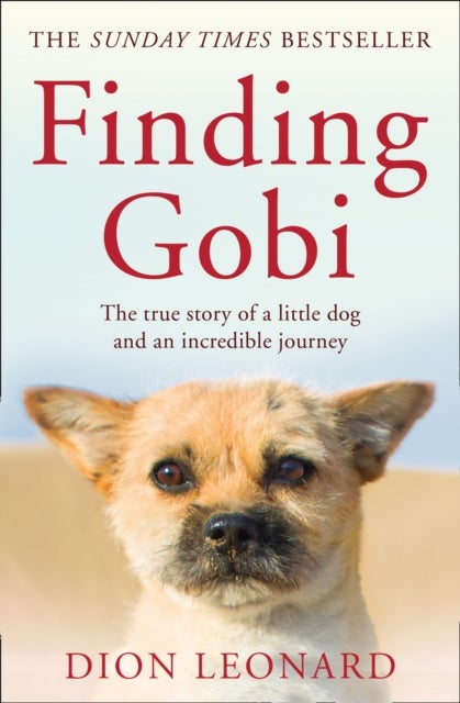 Finding Gobi (Main edition) - The True Story of a Little Dog and an Incredible Journey