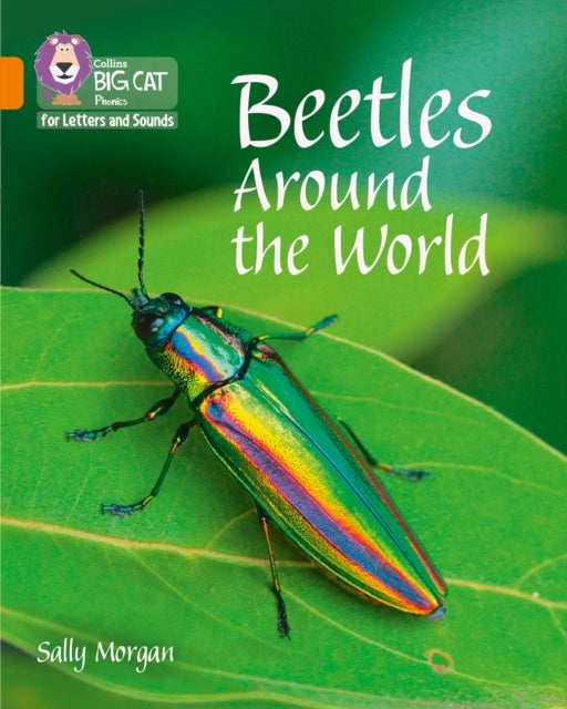 Bilde av Beetles Around The World Av Sally Morgan