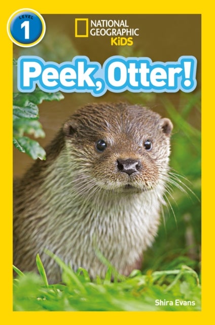 Peek, Otter! - Level 1