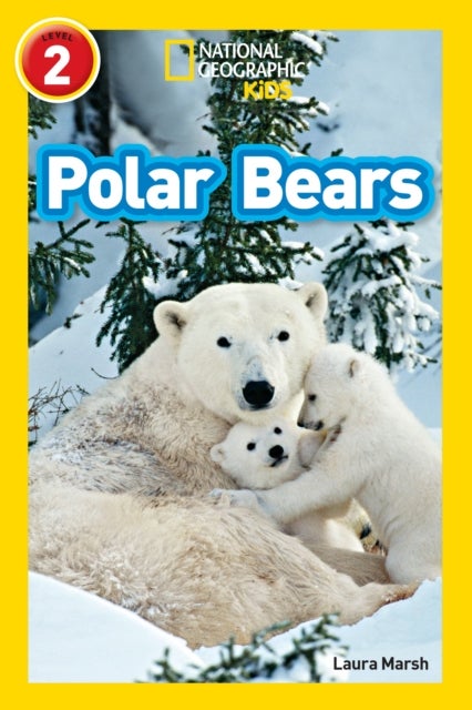Polar Bears - Level 2