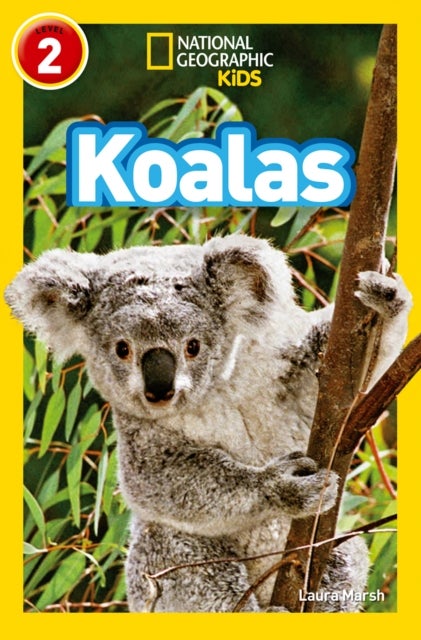 Koalas - Level 2
