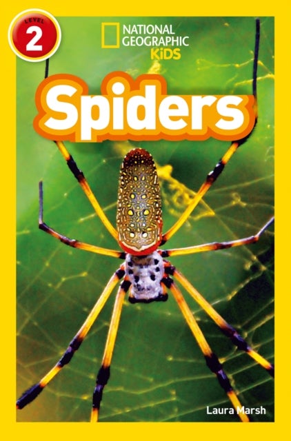 Spiders - Level 2