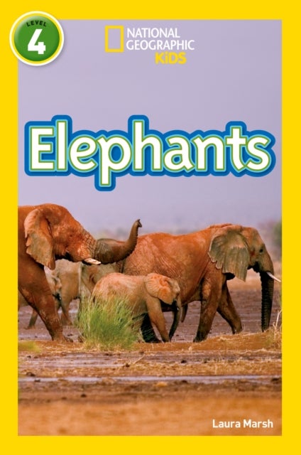 Elephants - Level 4