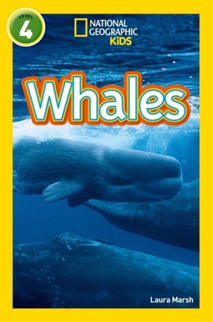 Whales - Level 4