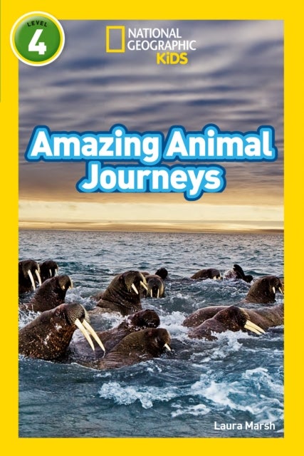 Bilde av Amazing Animal Journeys Av Laura Marsh, National Geographic Kids