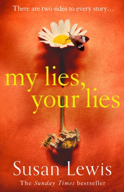 Bilde av My Lies, Your Lies Av Susan Lewis