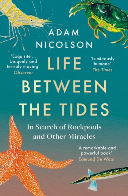 Life Between the Tides - In Search of Rockpools and Other Adventures Along the Shore