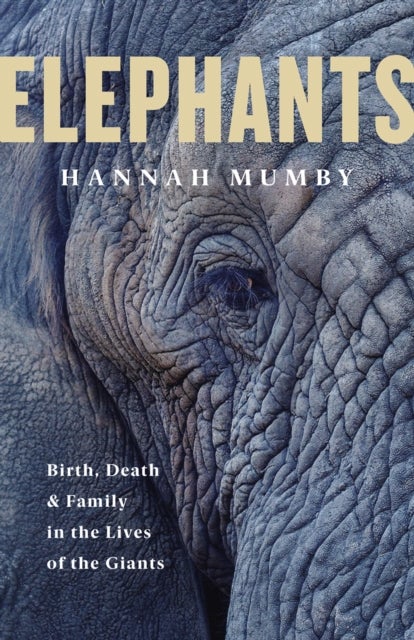 Elephants - Birth, Death and Family in the Lives of the Giants