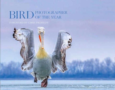 Bird Photographer of the Year - Collection 4