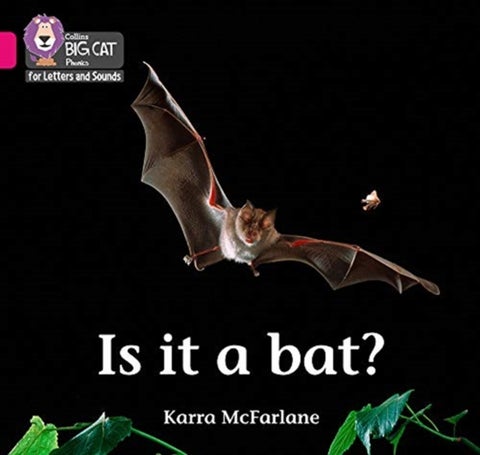 Is it a Bat? - Band 01b/Pink B