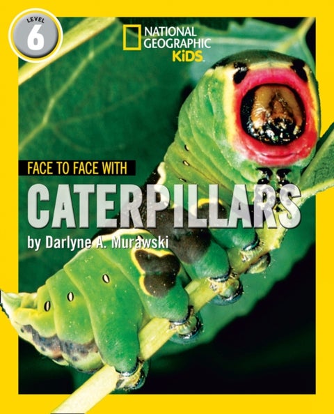 Face to Face with Caterpillars - Level 6
