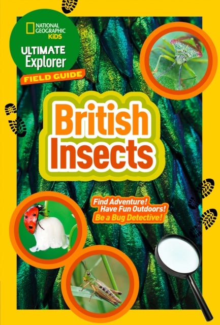 British Insects - Find Adventure! Have Fun Outdoors! be a Bug Detective!