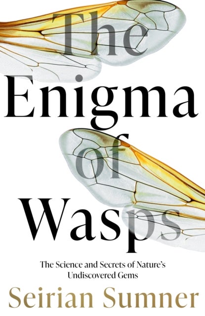 Endless Forms - The Secret World of Wasps