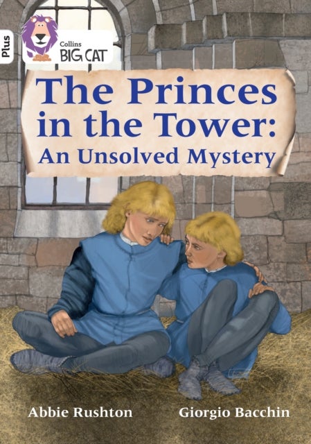 Bilde av The Princes In The Tower: An Unsolved Mystery Av Abbie Rushton