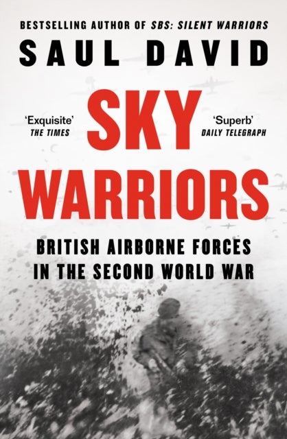 Sky Warriors - British Airborne Forces in the Second World War