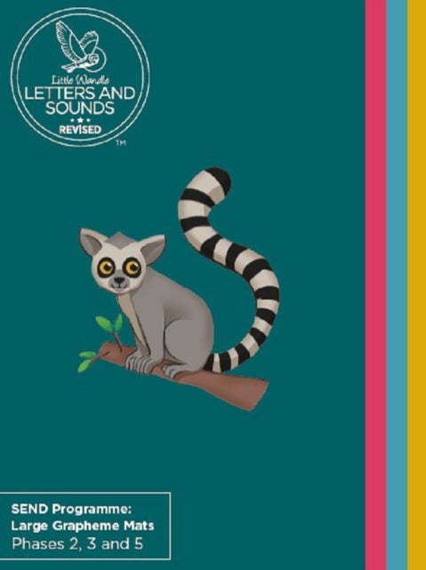 SEND Programme: Large Grapheme Mats - Phases 2, 3 and 5