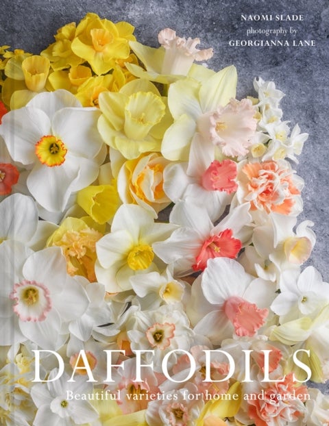 Daffodils - Beautiful Varieties for Home and Garden