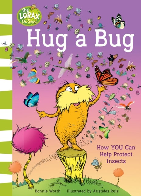 Hug a Bug - How You Can Help Protect Insects