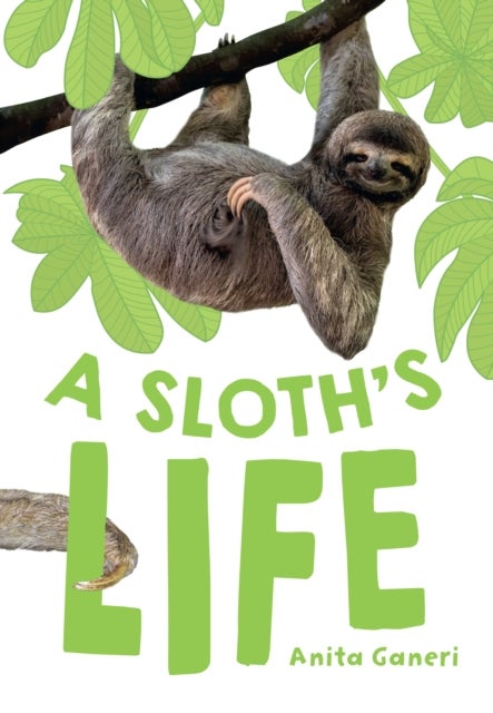 A Sloth's Life - Fluency 7