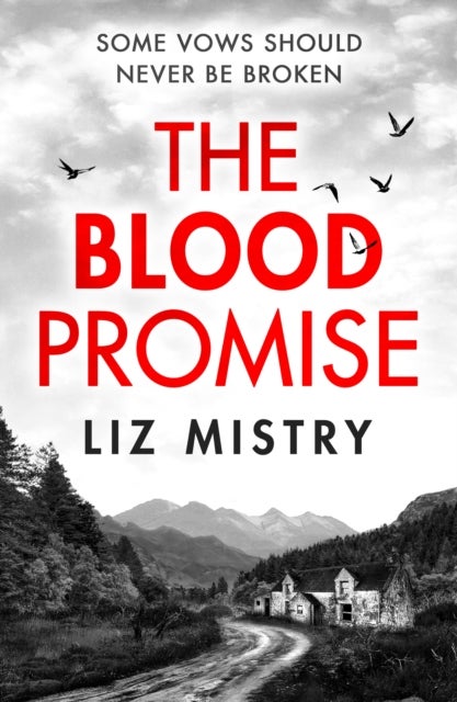 The Blood Promise - The Solanki and McQueen Crime Series 1