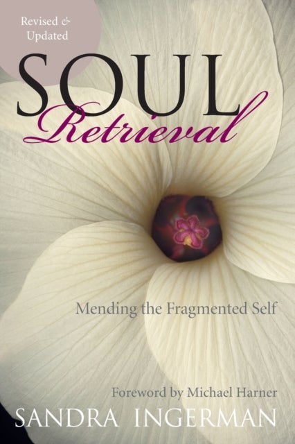 Soul Retrieval - Mending the Fragmented Self
