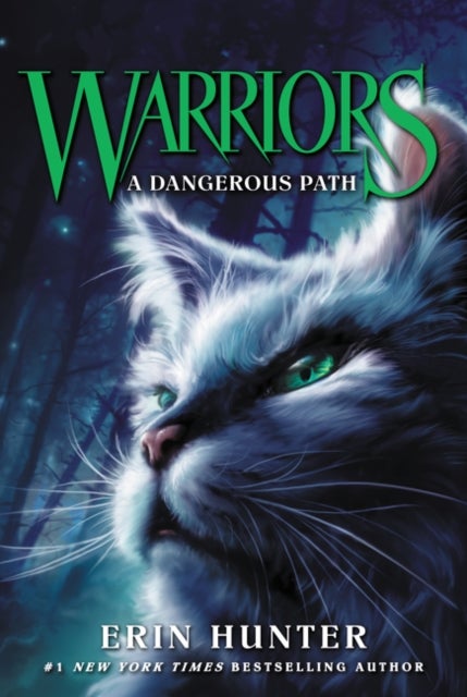 Bilde av Warriors #5: A Dangerous Path Av Erin Hunter
