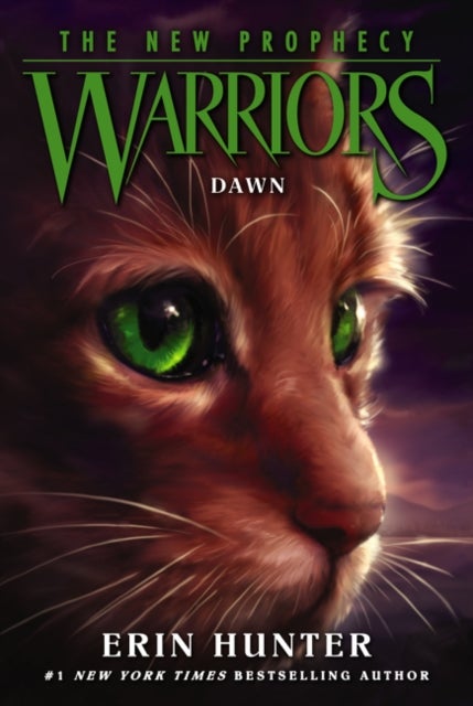 Bilde av Warriors: The New Prophecy #3: Dawn Av Erin Hunter