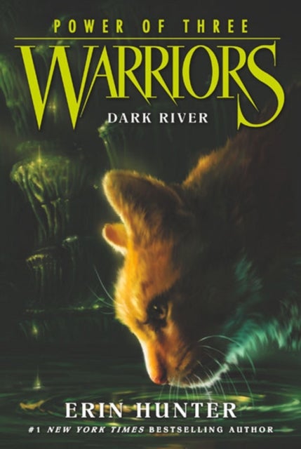 Bilde av Warriors: Power Of Three #2: Dark River Av Erin Hunter